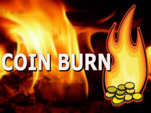 سوزاندن سکه Coin Burn