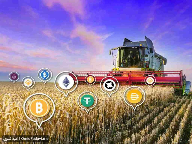 کشت سود چیست؟ + ریسک های yield farming ارز دیجیتال