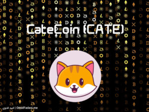 ارز دیجیتال کت کوین CateCoin
