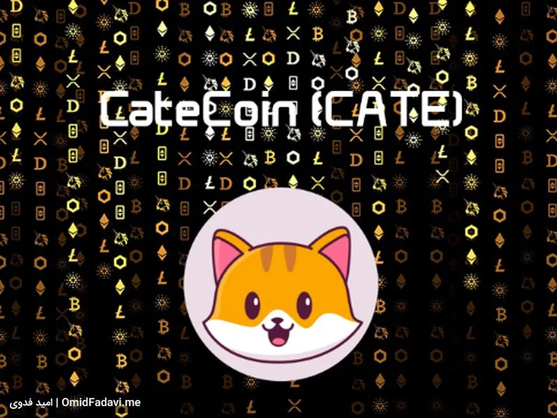 CateCoin1