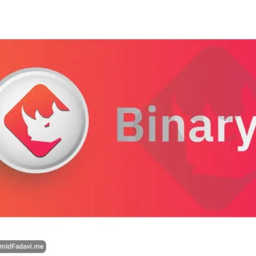 BinaryX-1