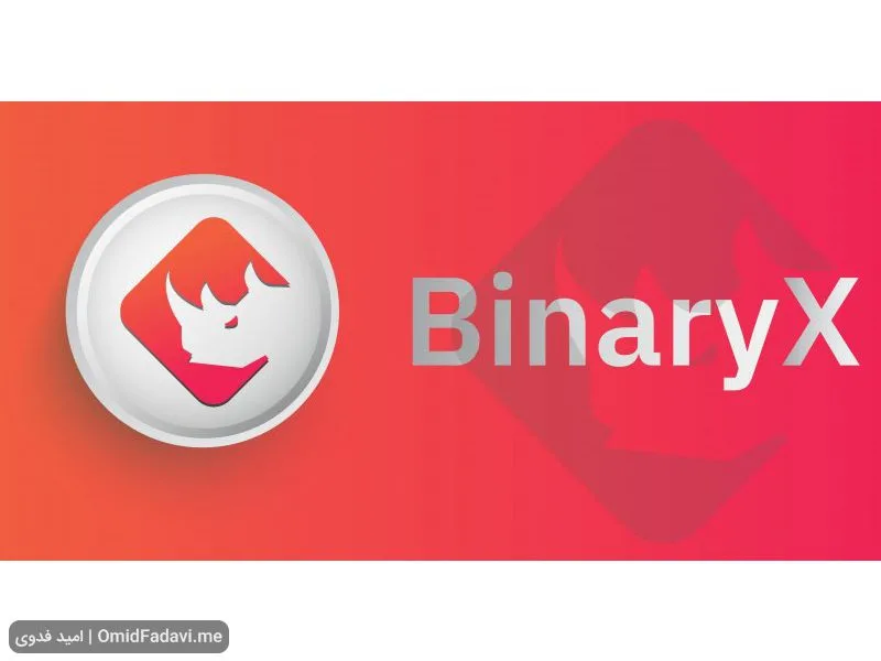 ارز دیجیتال باینری ایکس BinaryX چیست و آیا ارزی آینده‌دار است؟