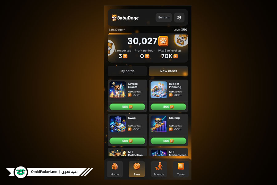 بخش Earn