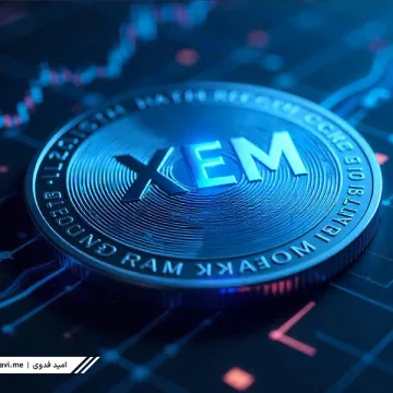 XEM-1