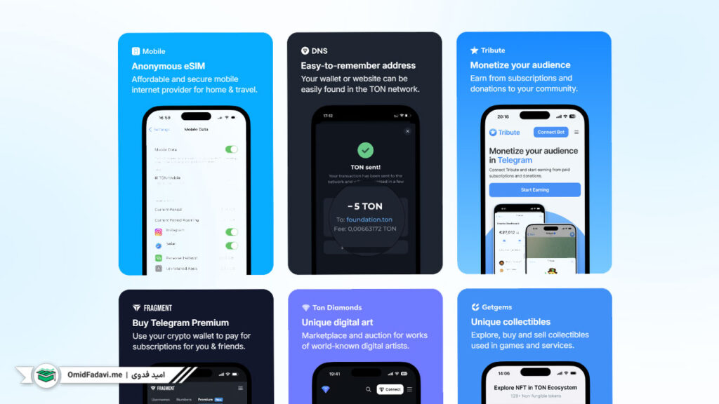اکوسیستم تون کوین